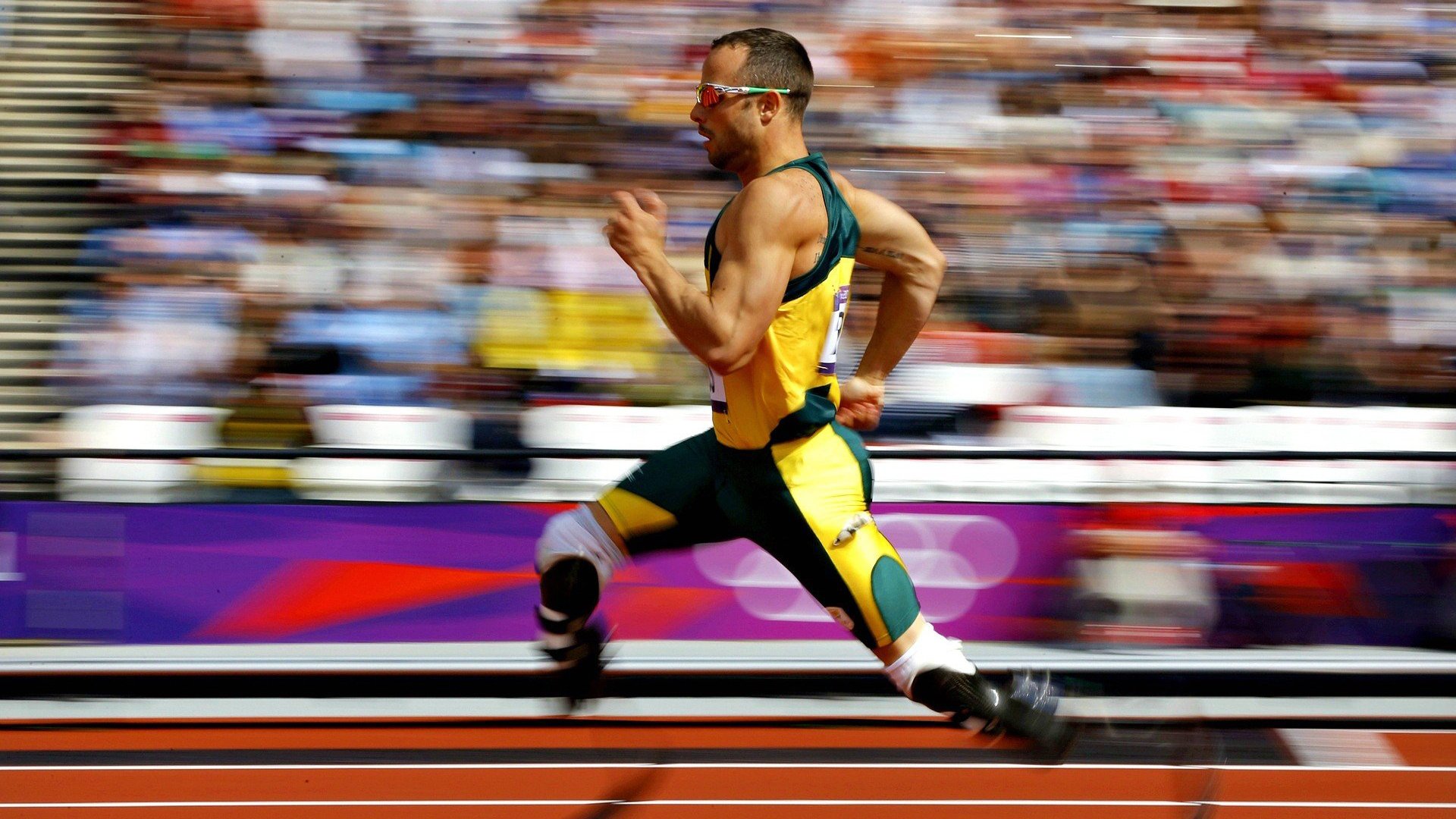 女子自由泳项目继续称霸,女子自由泳决赛