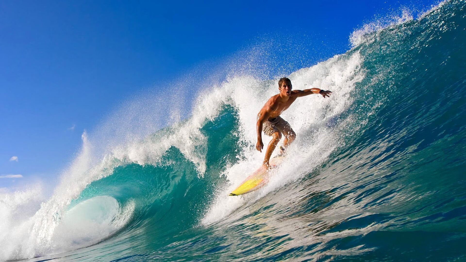 荷兰队在国际赛中表现优异,晋级希望巨大