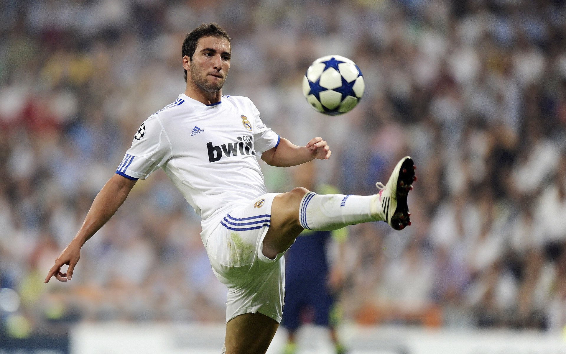 俱乐部启动青少年专项赛事“未来之星”系列赛