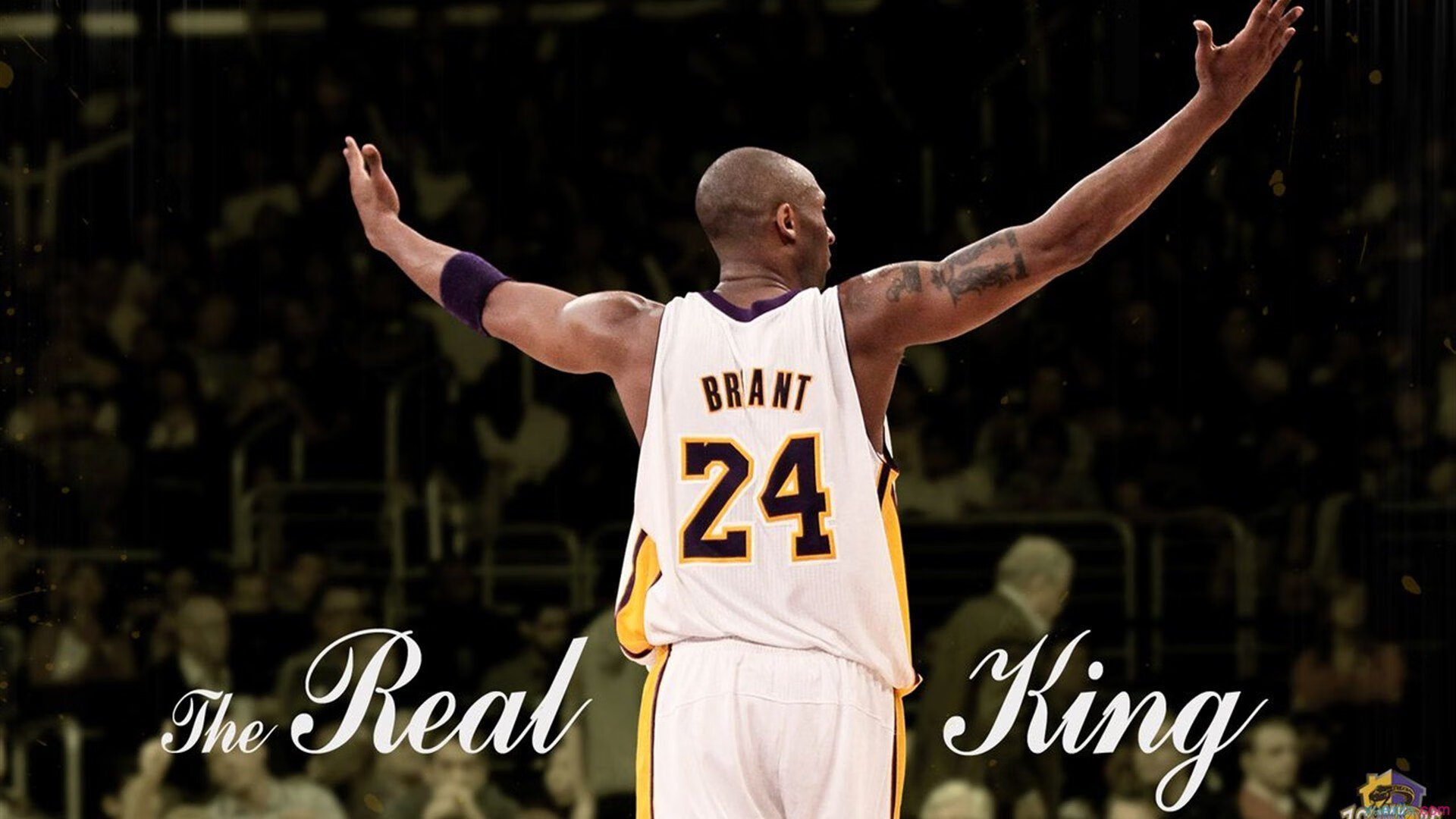 教授怒斥年轻人懒惰,网友反问:29个研究生工作谁负责?,研究生的悲哀